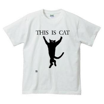 THIS IS CAT.jpg